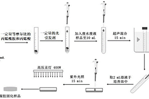 用于快速檢測技術(shù)分析廢水廢液中重金屬的樣品固化預處理方法