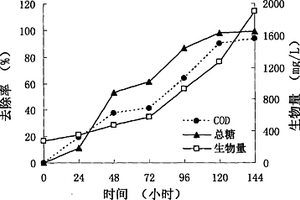 利用一株光合細(xì)菌處理淀粉廢水并實(shí)現(xiàn)廢水資源化的方法