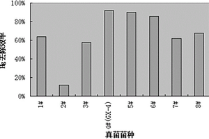 真菌菌株GX-4及其在含汞廢水處理中的用途