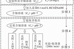 采用TiO<Sub>2</Sub>吸附-光催化還原處理含鈾廢水的方法