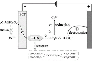 使用碳糊電極吸附電還原無害化處理六價(jià)Cr廢水的方法