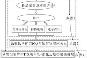 砂巖型鈾礦中選取處理放射性含鈾廢水材料的方法