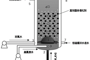 針對(duì)高鹽難降解廢水的高效異相類芬頓反應(yīng)器與應(yīng)用