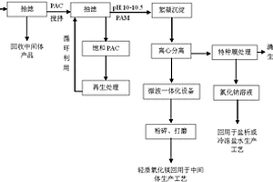 含鎂高鹽廢水的資源化處理工藝