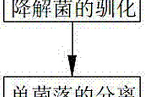 降解化工廢水中苯酚的方法