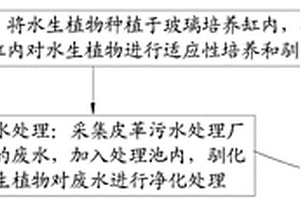 水生植物對皮革廢水的處理方法