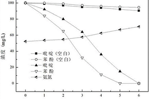 吡啶和苯酚降解菌及其在含吡啶和苯酚廢水處理中的應(yīng)用