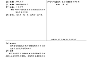 磁性催化劑強化下鐵內(nèi)電解處理難降解有機廢水的方法及所使用的填料