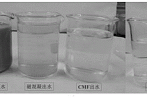 火電廠濕法脫硫廢水深度處理組合工藝