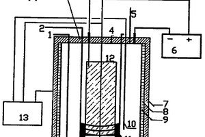 有機廢水的濕式電催化處理裝置及方法