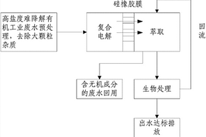 電解-滲透萃取-生物耦合技術(shù)處理高鹽難降解有機(jī)廢水的裝置及方法