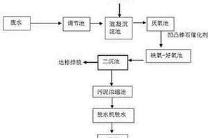 凹凸棒石催化劑深度處理印染廢水工藝