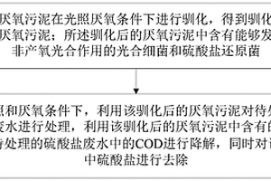 硫酸鹽有機(jī)廢水的光照厭氧處理方法及裝置