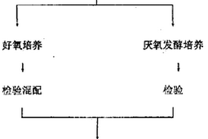 用于處理高難度廢水的微生物制劑及其制備方法