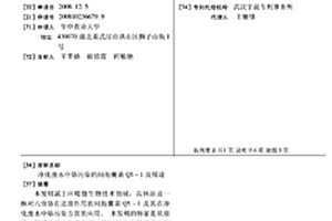 凈化廢水中鉻污染的間孢囊菌Q5-1及用途