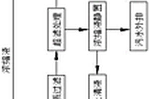 尼龍66簾子布廢水深度處理工藝