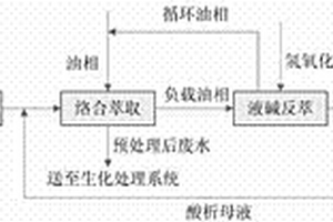 煤化工生產(chǎn)廢水預(yù)處理及其資源化回收方法