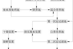 光合生物介導(dǎo)的廢水綜合生態(tài)處理系統(tǒng)和方法