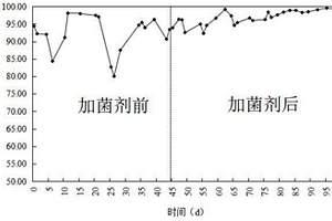 高效處理化工廢水的復(fù)合菌劑制備及應(yīng)用方法