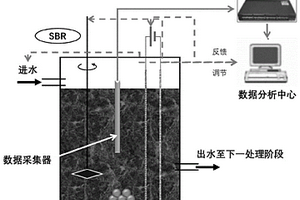 基于智能化SBR電極工藝的印染廢水高效脫毒梯度處理方法