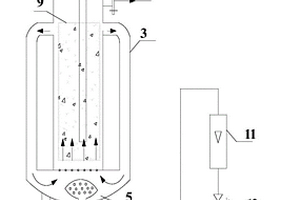 用于燃料乙醇生產(chǎn)廢水的光催化環(huán)流反應(yīng)方法與裝置
