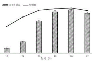 季也蒙畢赤酵母菌及處理高鹽廢水的方法