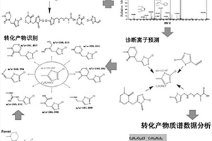 同時(shí)快速篩查廢水中農(nóng)藥、藥物及其轉(zhuǎn)化產(chǎn)物的方法