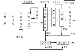 棕櫚油廢水處理裝置及其方法