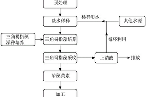 海洋微藻培養(yǎng)與養(yǎng)殖廢水凈化相耦合產(chǎn)巖藻黃素的方法