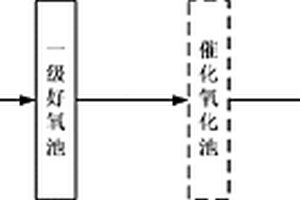 處理DCP廢水的系統(tǒng)