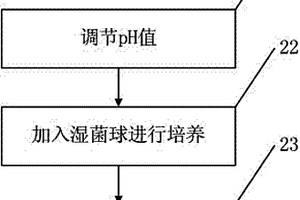 利用黃孢原毛平革菌處理柑橘罐頭生產(chǎn)廢水的方法