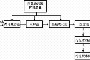 含鹽有機廢水生化處理裝置及工藝