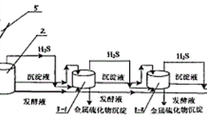 一株硫酸鹽還原菌及其以稻草為碳氮源處理酸性礦山廢水的工藝