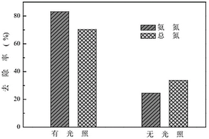 基于光電催化-自養(yǎng)生物膜的廢水脫氮處理方法