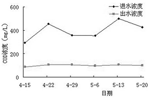 齒果酸模在處理畜禽養(yǎng)殖廢水中的應(yīng)用