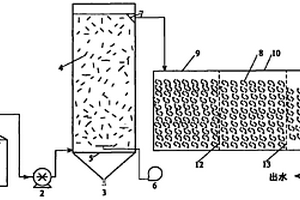 用于處理農(nóng)產(chǎn)品加工有機(jī)廢水的同步污泥減量反應(yīng)器