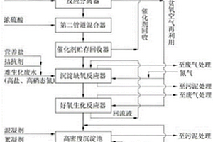 高硫廢堿液和高鹽高硝態(tài)氮難生化廢水的處理裝置及方法