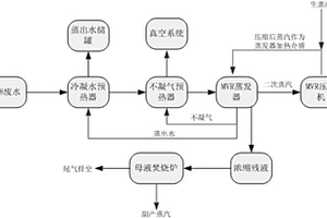 苯胺基乙腈生產(chǎn)廢水的處理系統(tǒng)