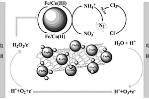 基于Co3O4/Fe3O4/CNTs復(fù)合分散電極的含硝酸鹽氮廢水處理方法