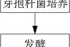 酵母廢水資源化生產(chǎn)多功能生物有機(jī)肥