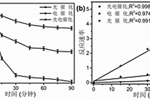 利用可見光響應(yīng)半導(dǎo)體異質(zhì)結(jié)雜化光電催化材料電極處理抗生素廢水的方法