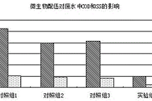 凈化發(fā)酵廢水的生化制劑及其制備方法