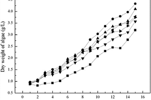 藍(lán)藻聯(lián)合CANON處理氨氮廢水的方法