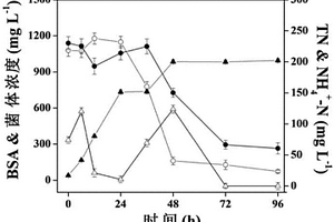 一株高效氨化細菌及其在含有機氮廢水處理中的應用