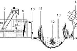 含重金屬廢水的生態(tài)處理系統(tǒng)