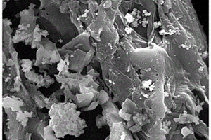 基于美人蕉生物炭的廢水處理材料、制備方法和應(yīng)用