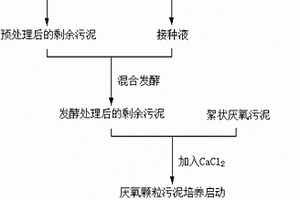 快速培養(yǎng)適于制藥廢水處理的厭氧顆粒污泥的方法