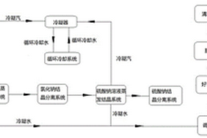 硫酸鈉、氯化鈉混合高鹽廢水的污水處理系統(tǒng)