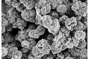 基于有機(jī)廢水處理的Mg-ZSM-5分子篩催化劑及制作工藝