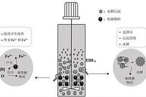 鐵碳和水解顆粒污泥耦合預(yù)處理難降解污水技術(shù)